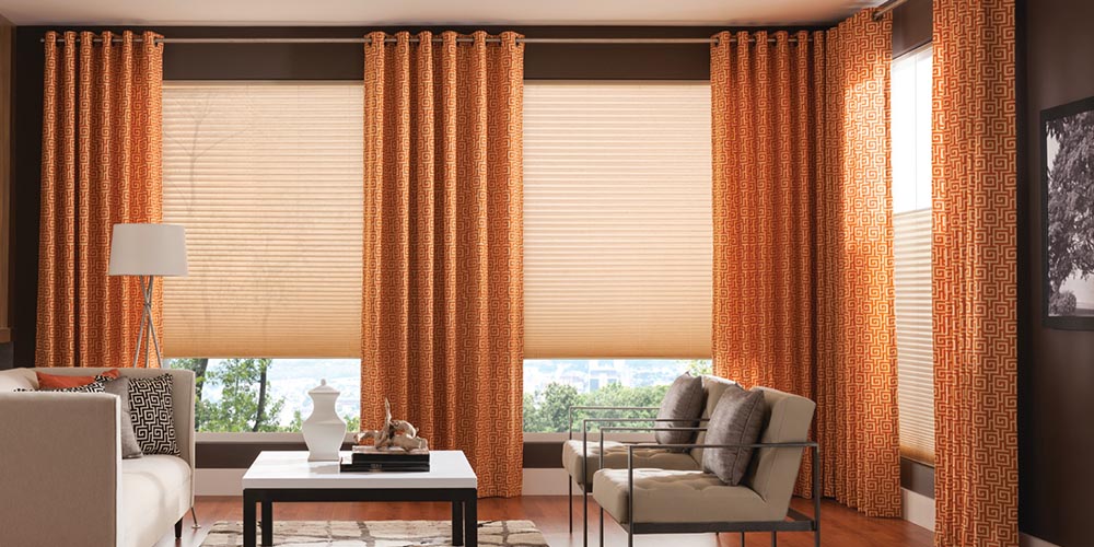 blinds and curtains in a living room