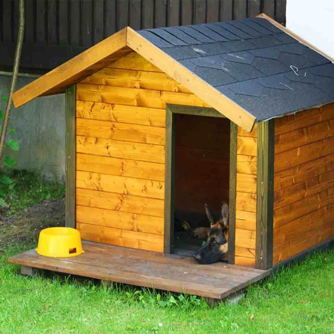 Dog House Carpentry Services