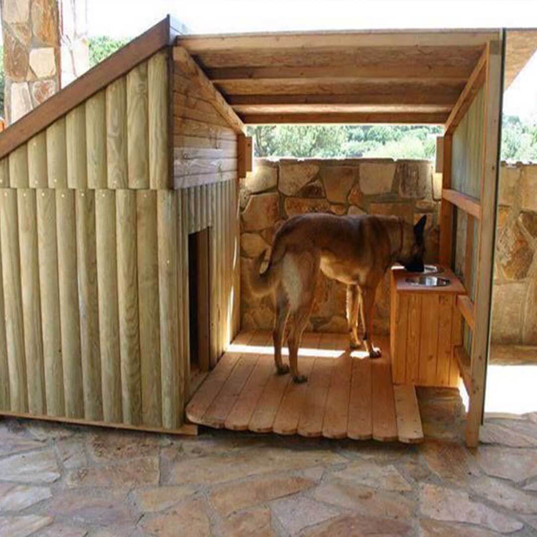 Dog House in Dubai