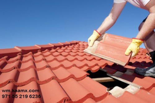 Your Trusted Partner for Reliable Roof Renovation Services