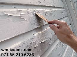 Cracks and Blisters in Your Paint: Causes and Remedies